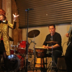 "Off The Record" featuring Joanna Peterson Palladino (vocals), Bob Resnick (drums), and a local guitarist, performing at "Still: DQ 2 For Dick Quinn" concert held at The Hangar in Troy, NY on Sunday, October 11, 2015. Series 2/9. Photo taken by Amy L. Modesti with Canon Rebel SL1 Digital SLR Camera. (C): Amy Modesti, 2015